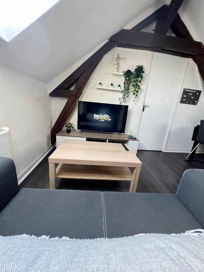 Bel Appartement Lumineux 35M2, Bord De Loire Saint-Jean-le-Blanc Ngoại thất bức ảnh