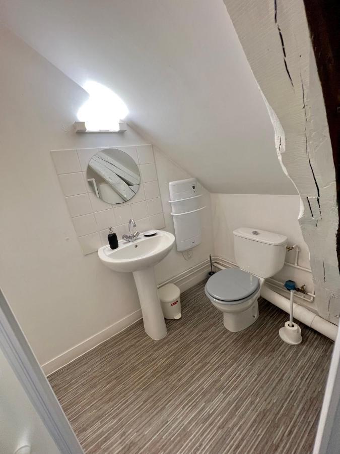 Bel Appartement Lumineux 35M2, Bord De Loire Saint-Jean-le-Blanc Ngoại thất bức ảnh