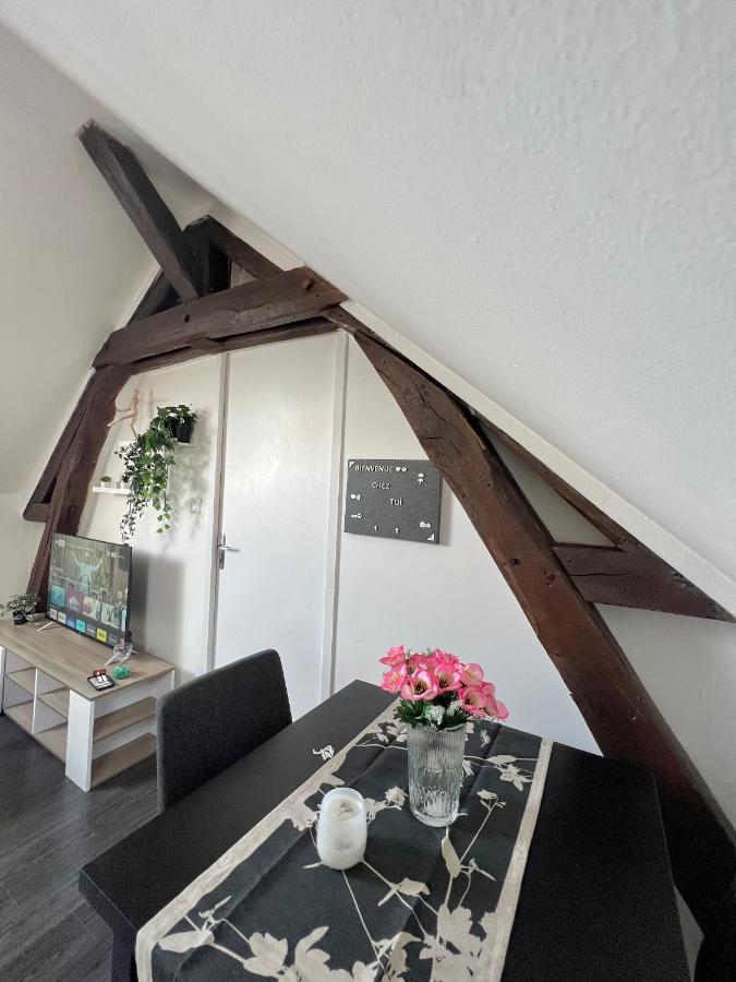 Bel Appartement Lumineux 35M2, Bord De Loire Saint-Jean-le-Blanc Ngoại thất bức ảnh