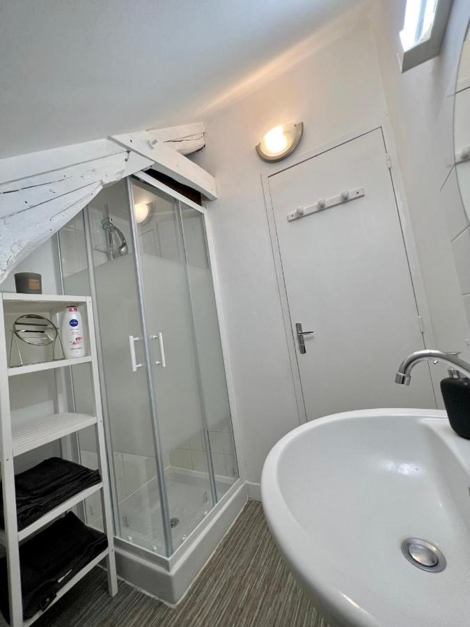 Bel Appartement Lumineux 35M2, Bord De Loire Saint-Jean-le-Blanc Ngoại thất bức ảnh