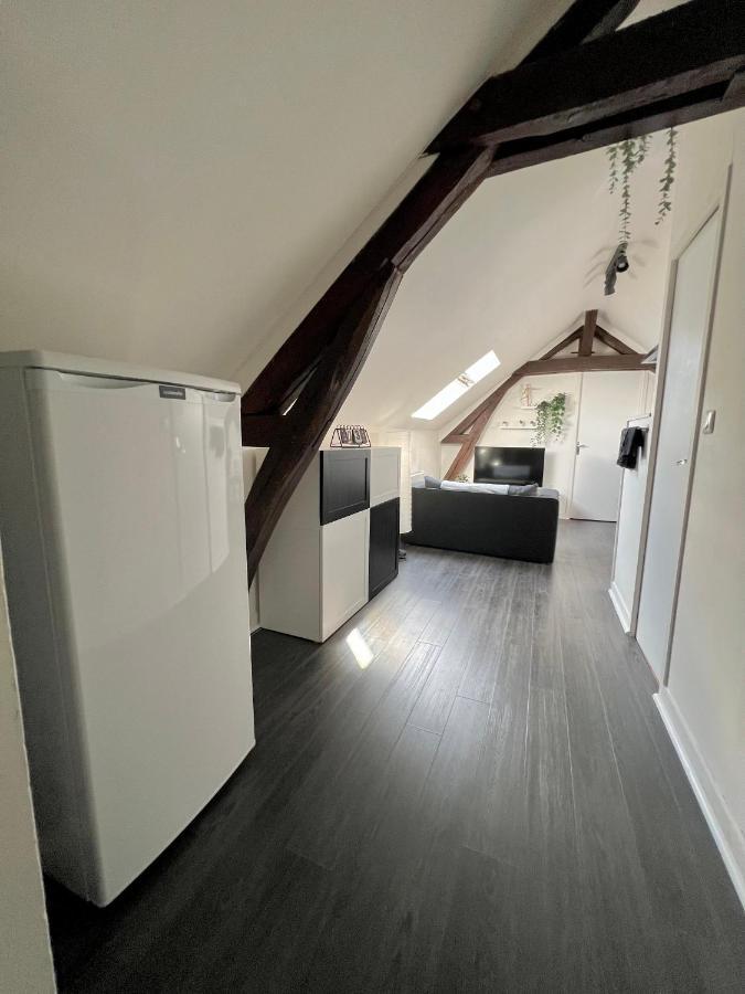 Bel Appartement Lumineux 35M2, Bord De Loire Saint-Jean-le-Blanc Ngoại thất bức ảnh