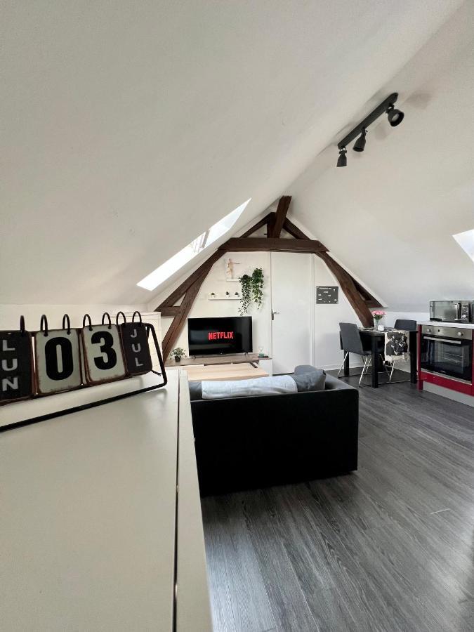 Bel Appartement Lumineux 35M2, Bord De Loire Saint-Jean-le-Blanc Ngoại thất bức ảnh
