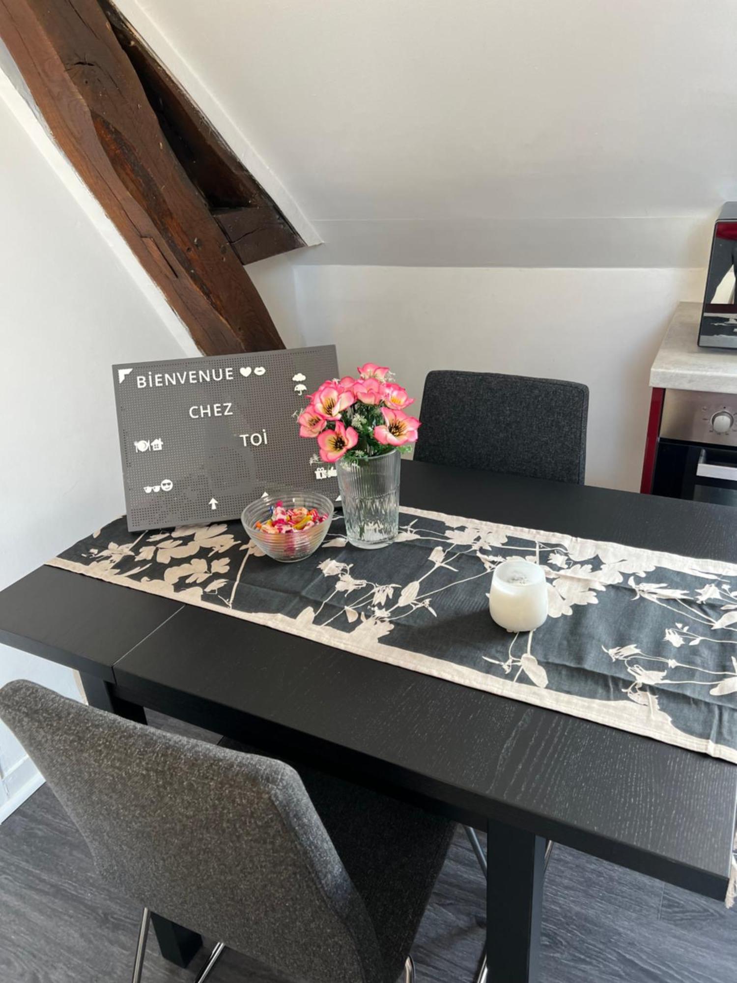 Bel Appartement Lumineux 35M2, Bord De Loire Saint-Jean-le-Blanc Ngoại thất bức ảnh